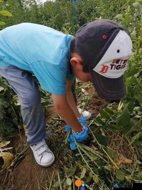 挤牛奶与拔萝卜的具体操作方法及技巧